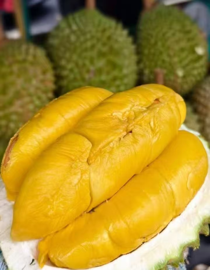 Musang King